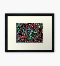 Pedals Framed Print