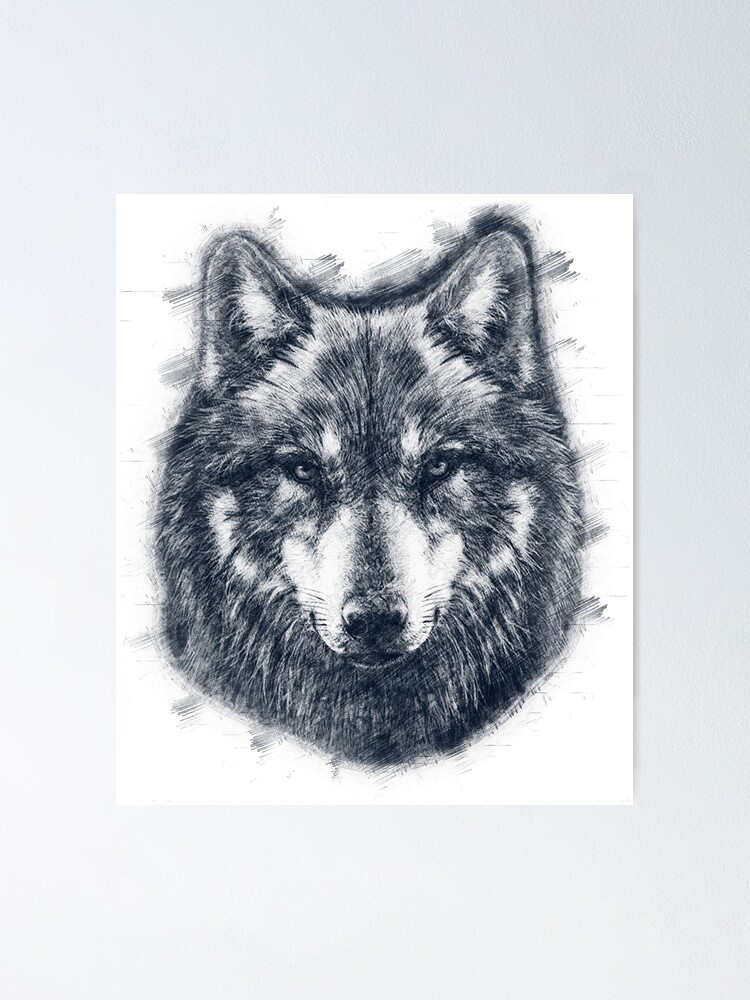 Wolf Face Drawing Poster