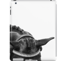 iPad Case/Skin