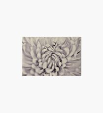 Chrysanthemum Art Board