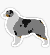 Australian Shepherd (Blue Merle) Sticker