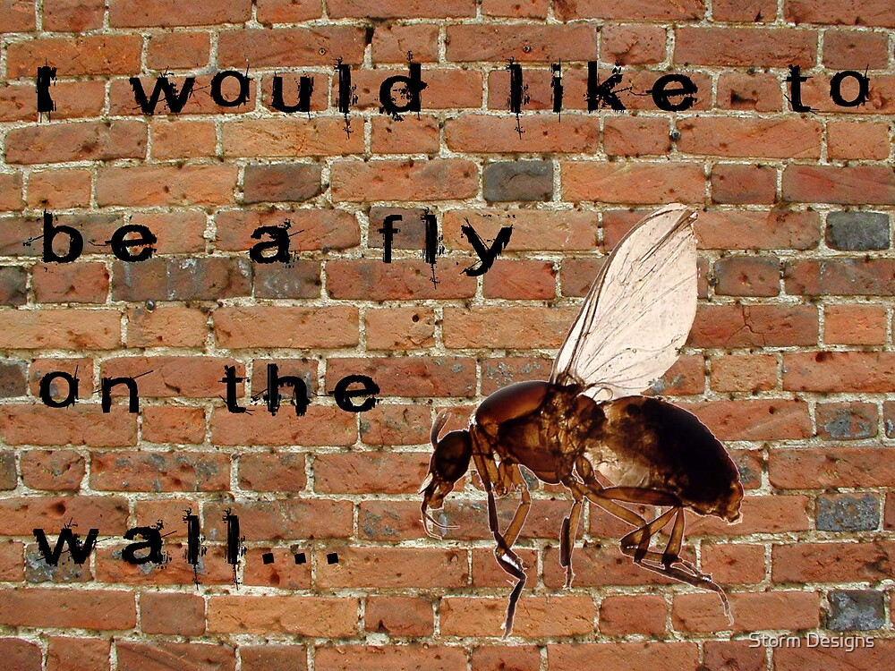 i-would-like-to-be-a-fly-on-the-wall-by-storm-designs-redbubble