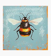Bee (1) Photographic Print