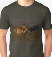 Hermit Crab on Fahan Beach Unisex T-Shirt