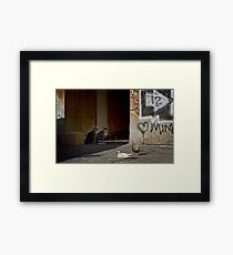 In a cat's eye, all things belong to cats. Framed Print