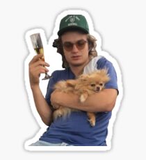 Joe Keery Sticker