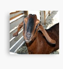 Smile and Say Cheese Canvas Print