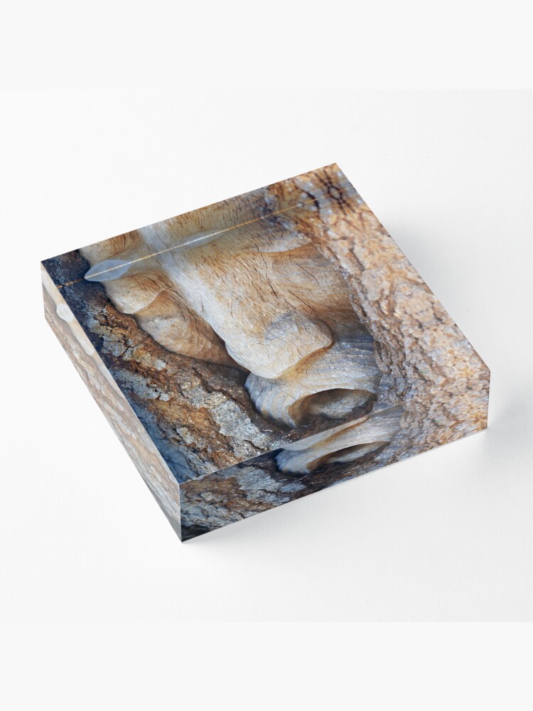 Alternate view of Tree Spirit - Magnolia Manor Acrylic Block