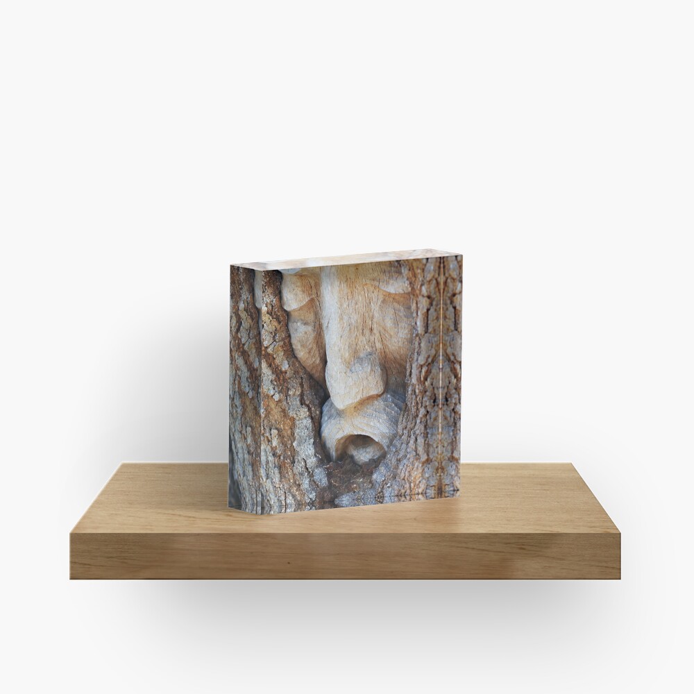 Tree Spirit - Magnolia Manor Acrylic Block