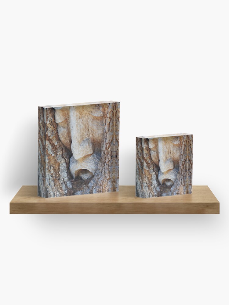 Alternate view of Tree Spirit - Magnolia Manor Acrylic Block