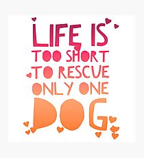 Life Is Too Short To Rescue Only One Dog Photographic Print