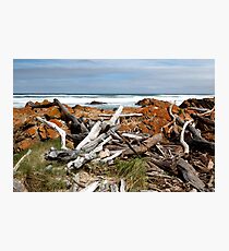 Desolate Shore Photographic Print