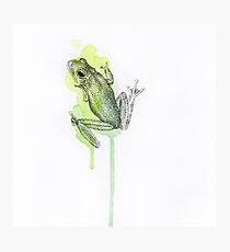 Laubfrosch Fotodruck