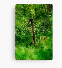 Antique Grass Cutter Canvas Print