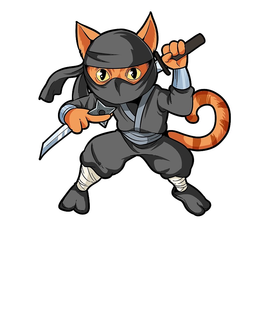 Ninja cat