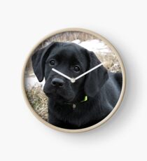 Awaiting Spring - Black Labrador Puppy Clock