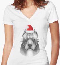 Christmas Pitbull Women's Fitted V-Neck T-Shirt