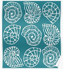 Sea shells - white on seagreen background Poster