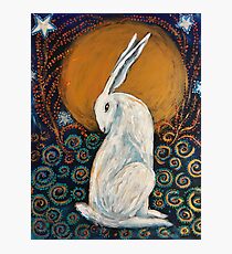Mondschein-Hase Fotodruck