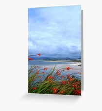 Donegal Greeting Card