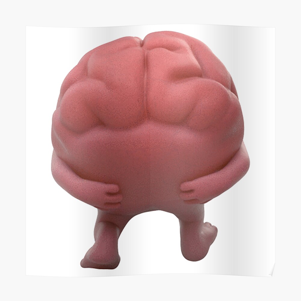 lil dicky brain plush toy ebay