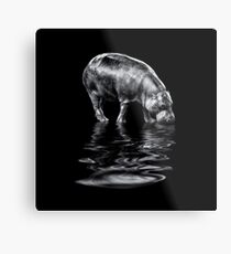 If I drink water, I will grow! Metal Print