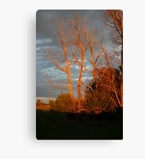 Autumn sunset Canvas Print