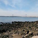 Sea Stones, Water, and a Bridge on the Horizon by znamenski