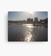 opulent Canvas Print