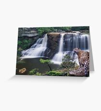 1059-Jaguar Waterfalls Greeting Card
