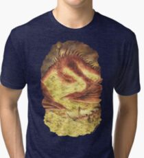 SLEEPING SMAUG Tri-blend T-Shirt