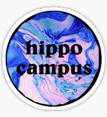 hippo campus tie dye/marble Sticker
