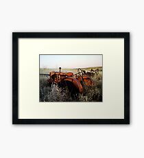 Alice Chalmer Framed Print