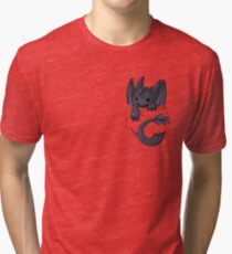 Is that a dragon in your pocket? Tri-blend T-Shirt