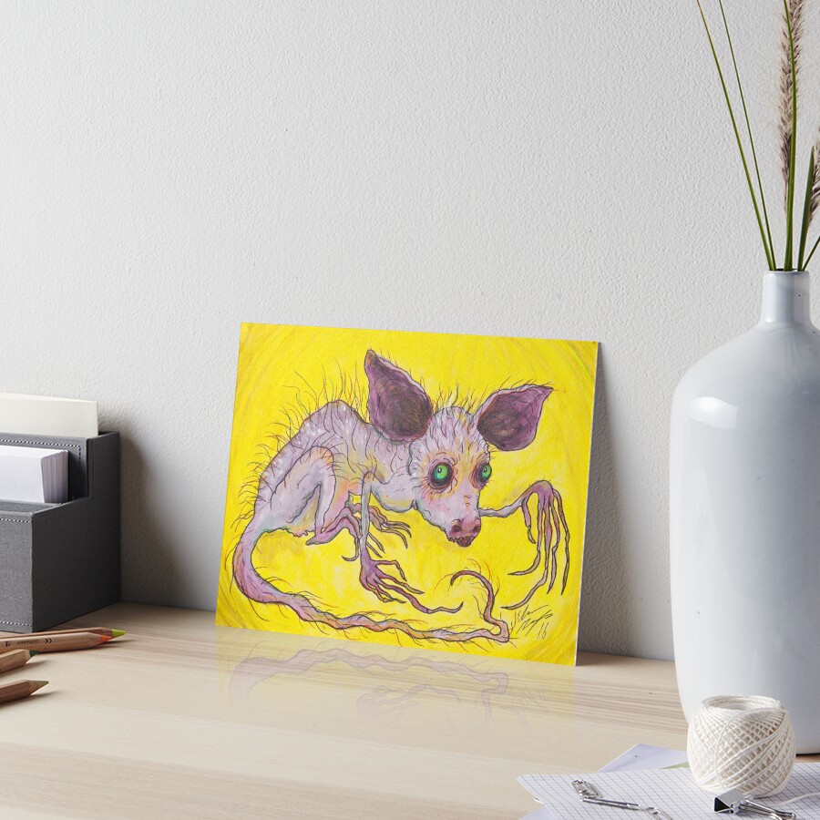 Aye-Aye Art Board Print