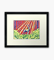 The Rainbow Forest Framed Print