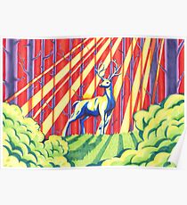 The Rainbow Forest Poster