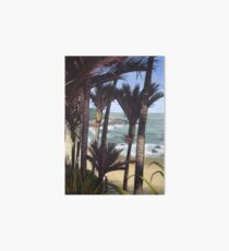 Majestic New Zealand Nikau Palms Art Board