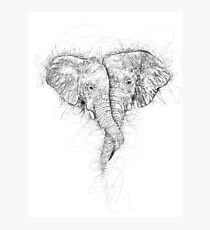 Elephant Hug Photographic Print