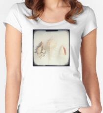 Shell trio Women's Fitted Scoop T-Shirt