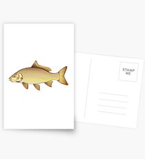 Common Carp Postcards