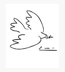 Picasso Peace Dove Photographic Print