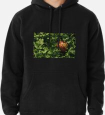 Fallen Russet Pullover Hoodie