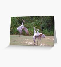 The Dance Instructor Greeting Card