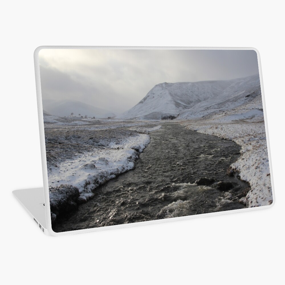 Winter river Laptop Skin