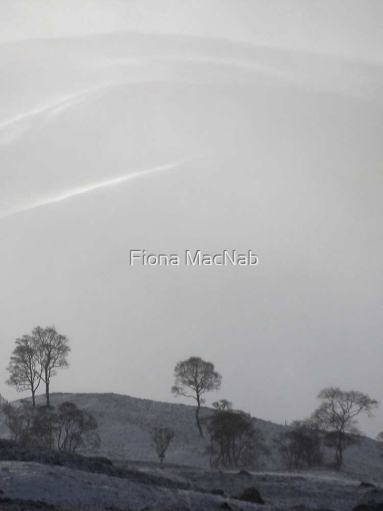 White by orcadia
