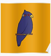 Falco Lombardi Poster