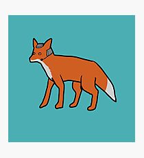 Fox McCloud Photographic Print