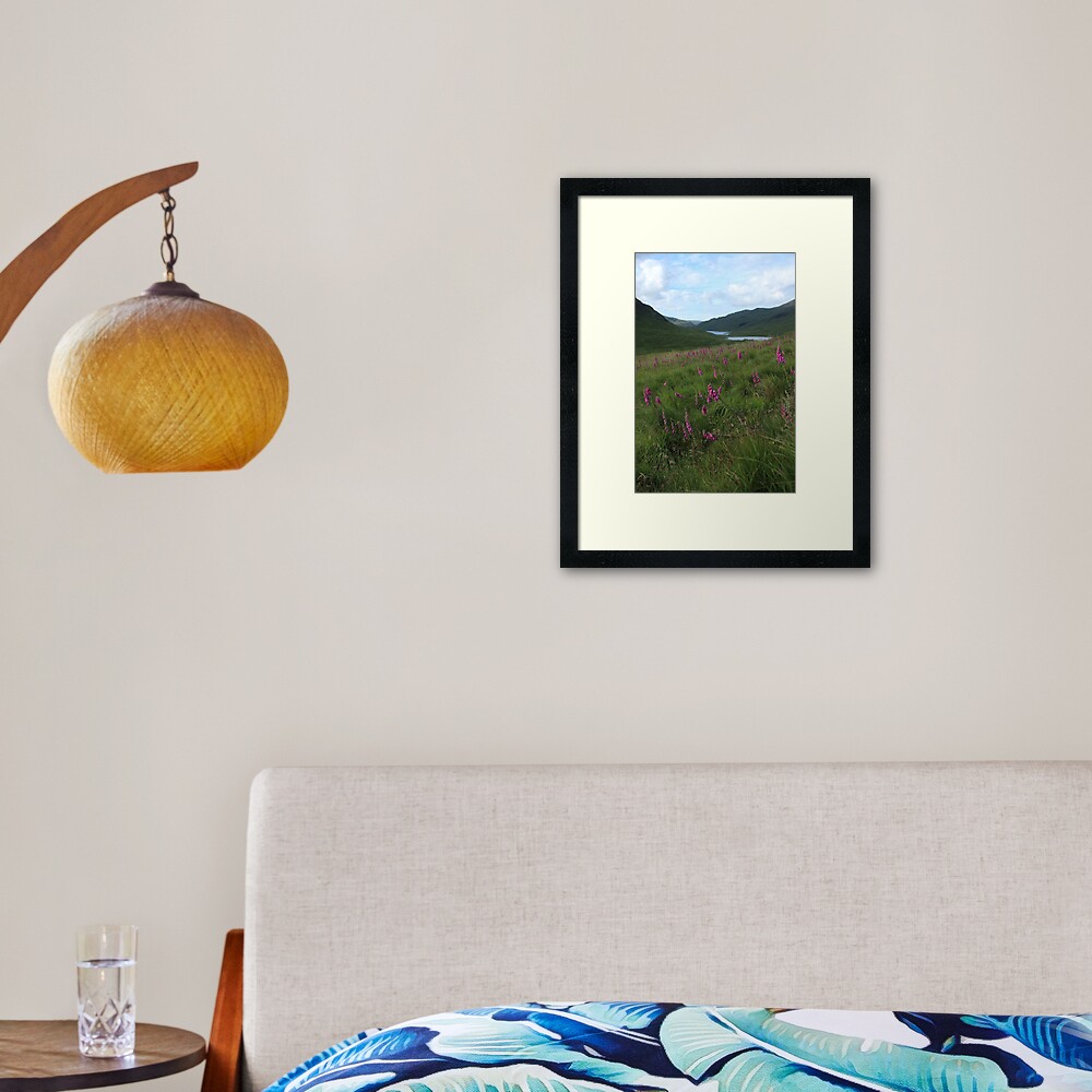 Field of foxgloves II Framed Art Print