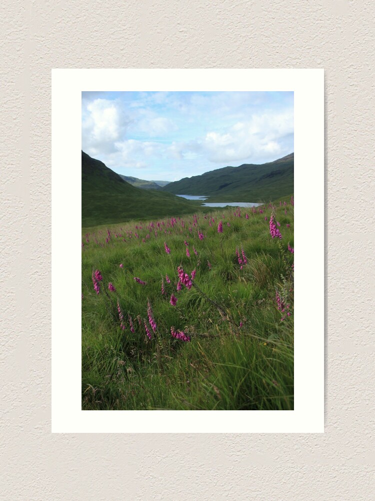 Alternate view of Field of foxgloves II Art Print